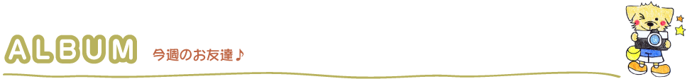 今週のお友達♪