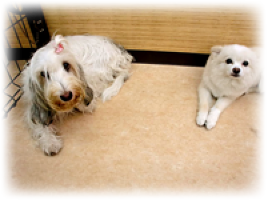 フリースペースでゆったり