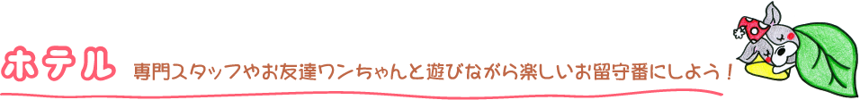 専門スタッフやお友達ワンちゃんと遊びながら楽しいお留守番にしよう！
