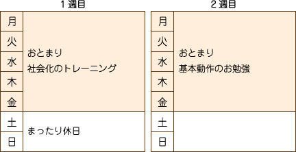 しつけプログラム