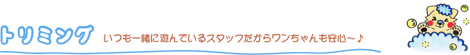 いつも一緒に遊んでいるスタッフだからワンちゃんも安心～♪