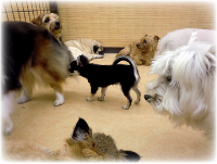 フリースペースでゆったり