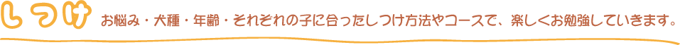 お悩み・犬種・年齢・それぞれの子に合ったしつけ方法やコースで、楽しくお勉強していきます。